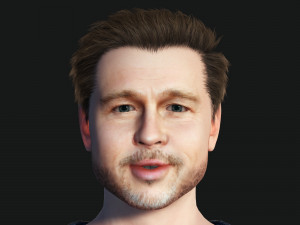 Man 3D Rigged model Brad Pitt ready for animation Model 3D