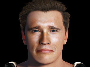 Arnold Schwarzenegger 3D Rigged model ready for animation 3D Model
