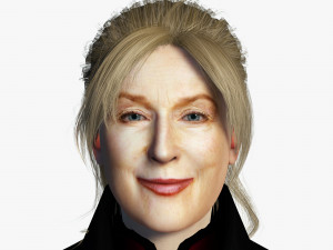 Meryl Streep 3D Rigged model ready for animation 3D Model