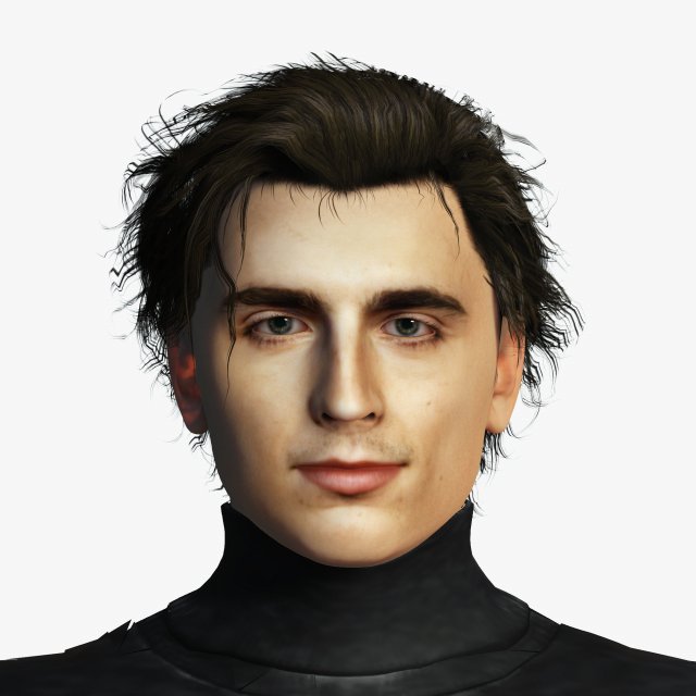Timothee Chalamet 3D Rigged model ready for animation 3D-Modell .c4d .max .obj .3ds .fbx .stl .blend 