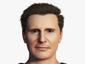 Liam Neeson 3D Rigged model ready for animation 3D 모델