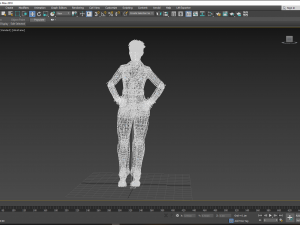 Tilda Swinton 2 3D Rigged model ready for animation 3D Model