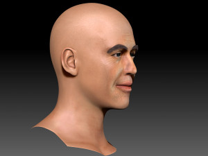 Billy Zane ZBrush 3D model only the head Modelo 3D