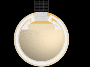 King Khalid University Saudi Arabia 3D Модель