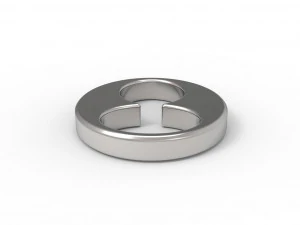 Penis ring 4 3D Print Model