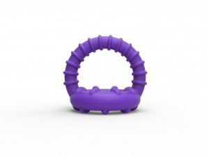 Penis ring 6 3Dプリントモデル