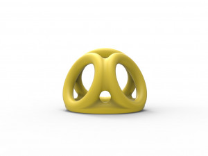 Penis ring 9 3Dプリントモデル