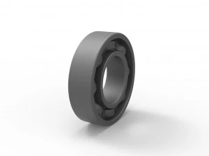 Bearing penis ring 3D Print Model