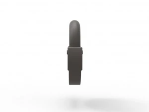 Padlock penis ring 3D Print Model