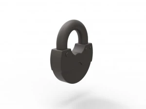 Padlock penis ring 3D Print Model