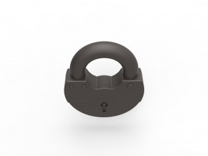 Padlock penis ring Modelo de Impressão 3D