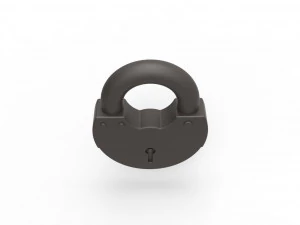 Padlock penis ring 3D Print Model