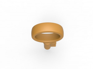 Key penis ring Model do druku 3D