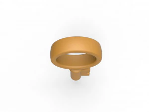 Key penis ring 3D Print Model