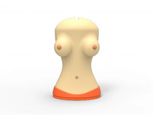 Salvadanaio Modello di stampa 3D