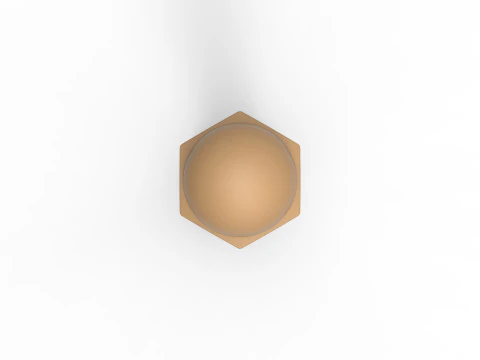 Bolt with Cap nut 3D Print Model