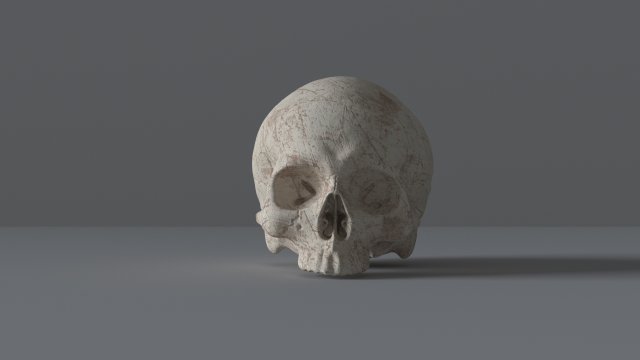 human skull Modello 3D .c4d .max .obj .3ds .fbx .stl .blend 