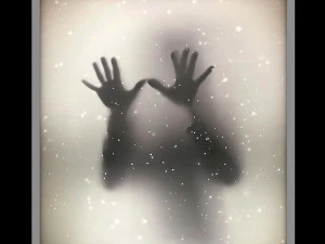 barisol licht 3D Model