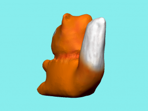 squirrel high-poly Modèle 3D