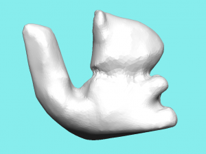 squirrel high-poly Modèle 3D