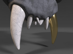 evil skull Modèle 3D