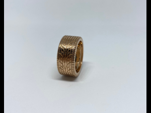 ring 3D Baskı Modeli