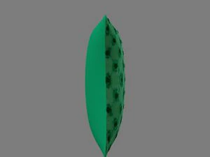 green polka pillow 3D Model
