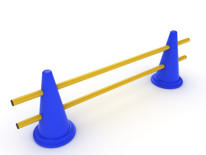 training cone Model 3D