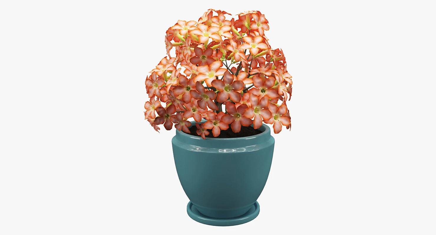 realistic potted flower 007 3D Model .c4d .max .obj .3ds .fbx .stl .blend 