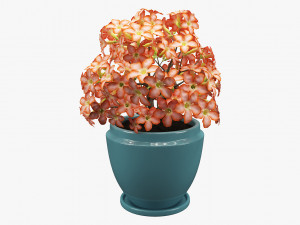 realistic potted flower 007 3D Model