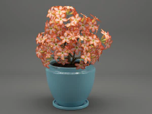 realistic potted flower 007 3D Model
