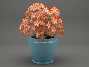 realistic potted flower 007 3Dモデル