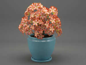 realistic potted flower 007 3D Model