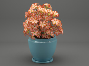 realistic potted flower 007 3Dモデル