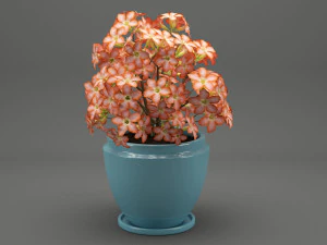 realistic potted flower 007 3D Model