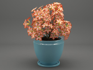 realistic potted flower 007 3Dモデル