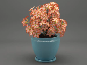 realistic potted flower 007 3D Model
