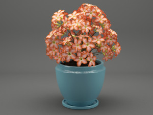 realistic potted flower 007 3Dモデル