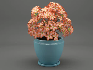 realistic potted flower 007 3D Model
