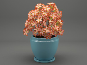 realistic potted flower 007 3Dモデル