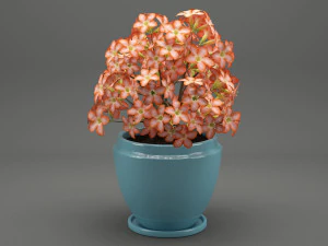 realistic potted flower 007 3D Model