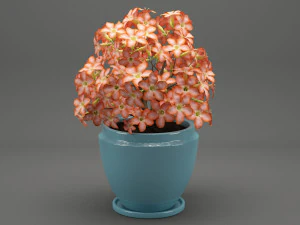 realistic potted flower 007 3D Model