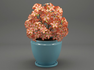 realistic potted flower 007 3Dモデル