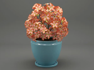 realistic potted flower 007 3D Model
