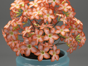 realistic potted flower 007 3Dモデル