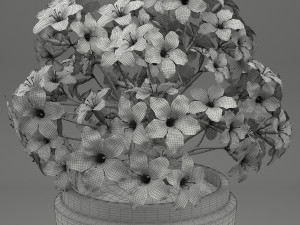 realistic potted flower 007 3Dモデル