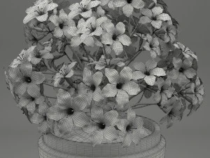 realistic potted flower 007 3D Model