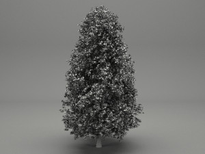 horse-chestnut aesculus hippocastanum 3Dモデル