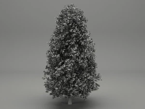 horse-chestnut aesculus hippocastanum 3D Model