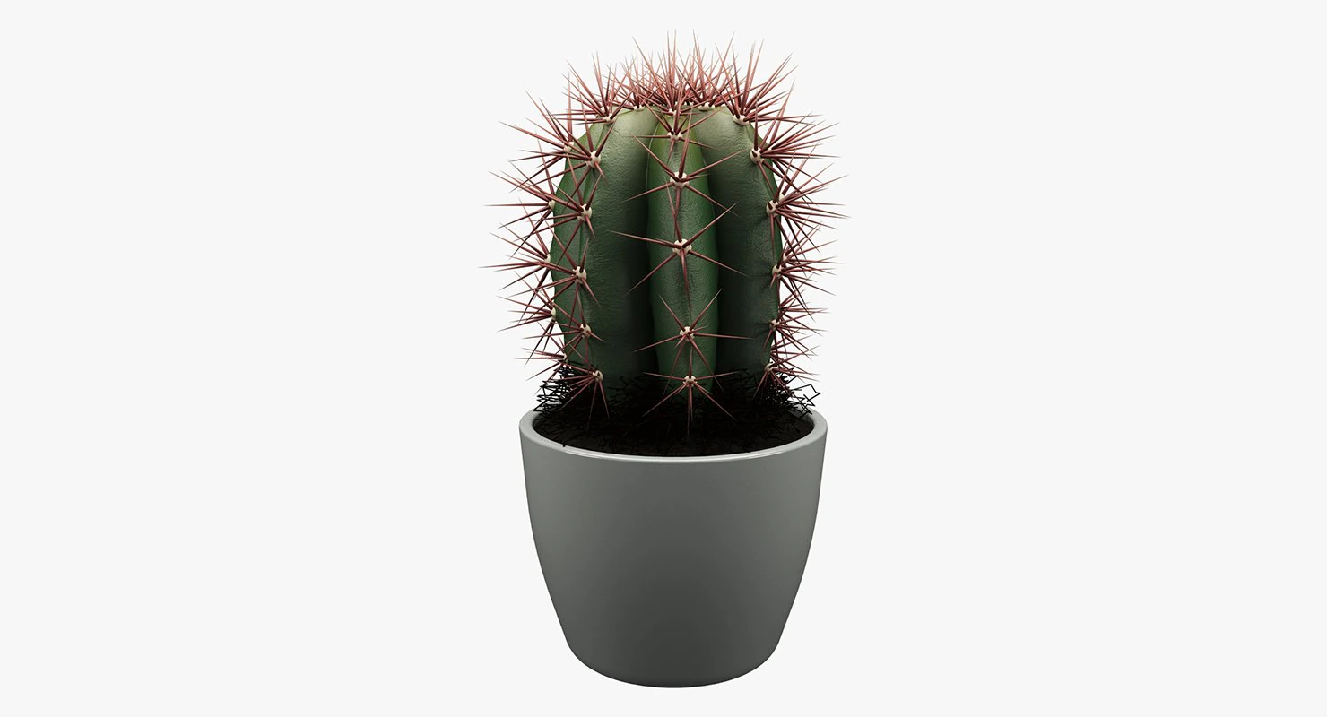 realistic potted plant 004 3D Model .c4d .max .obj .3ds .fbx .stl .blend